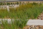 Lagoon Grasslandscaping-water-management-and-drainage-12.jpg; ?>