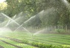 Lagoon Grasslandscaping-water-management-and-drainage-17.jpg; ?>